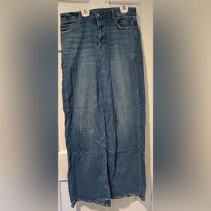 American Eagle Outfitters Light Blue Flare Jeans